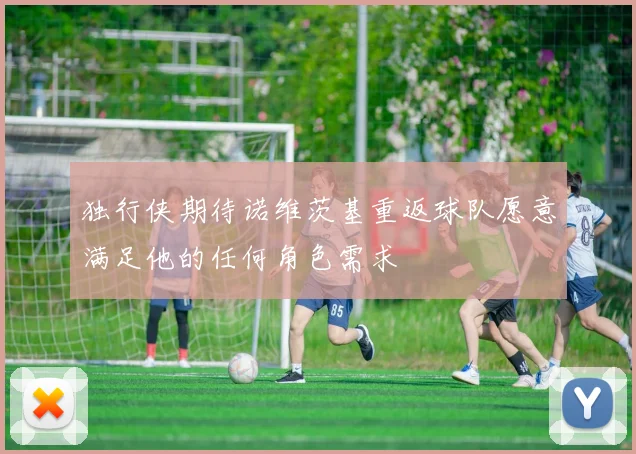 独行侠期待诺维茨基重返球队愿意满足他的任何角色需求