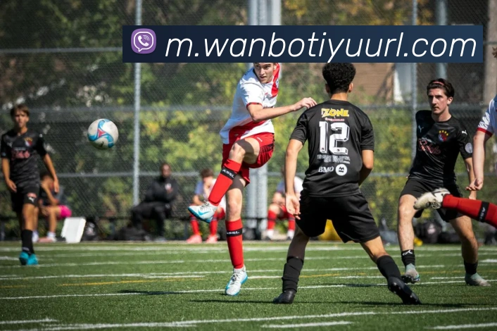 万博体育服务体系